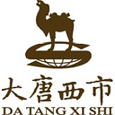 DTXS Silk Road Investment Holdings Company Limited logo