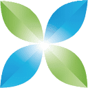 China Renewable Energy Investment Limited logo