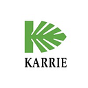 Karrie International Holdings Limited logo