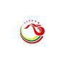 Zhong Ao Home Group Limited logo