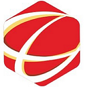 Leadway Technology Investment Group Limited logo
