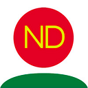 NINE DRAGONS PAPER HOLDINGS LTD logo