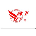 China PengFei Group Limited logo
