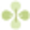 Medicskin Holdings Limited
