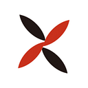 eXmotion Co., Ltd. logo