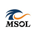 Management Solutions co.,Ltd. logo
