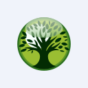 Kyushu Financial Group, Inc. logo