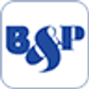 B&P Co.,Ltd. logo
