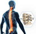 Bone Biologics Corporation logo
