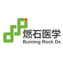 Burning Rock Biotech Limited logo