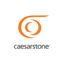 Caesarstone Ltd. logo