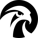 Falcon's Beyond Global, Inc. Class A Common Stock logo
