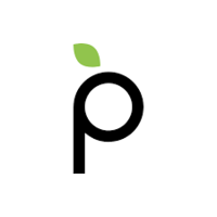 Plum Acquisition Corp. IV logo