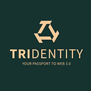 Trident Digital Tech Holdings Ltd logo