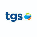 Transportadora de Gas del Sur S.A. logo